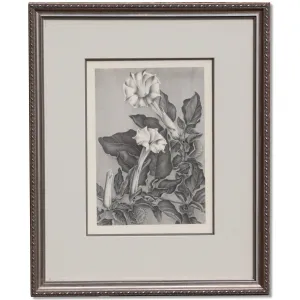 Elizabeth Saltonstall Angel's Trumpet Framed Lithograph 20x16 Vintage 1983